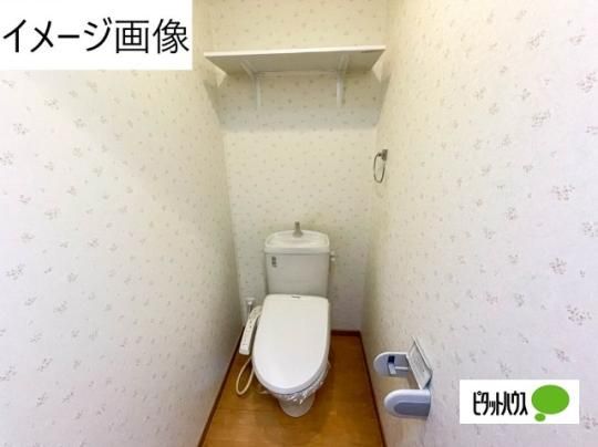 �y���̑��z�@�g�C��