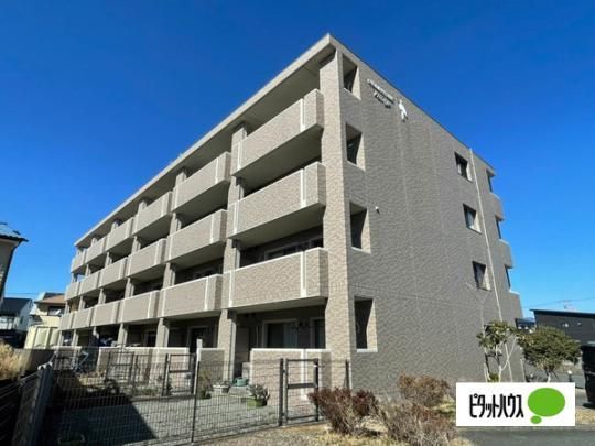 �O�����X�g�[�N���B���b�W