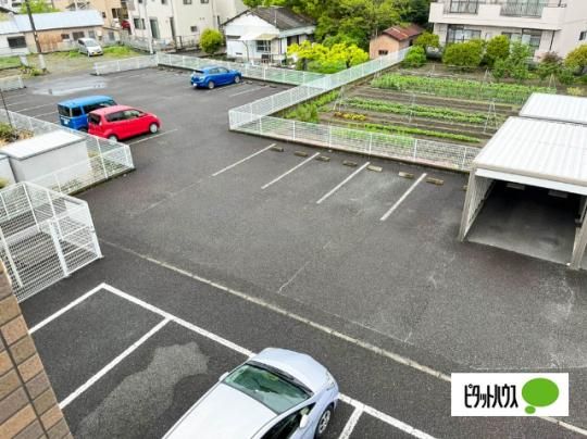 ������Β��ԏ�