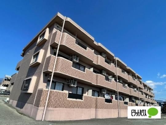 �T�j�[�q��