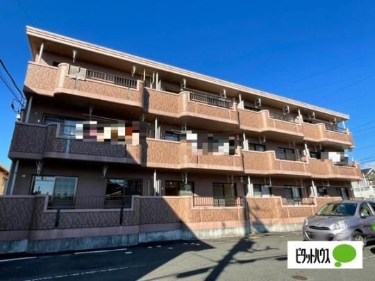 �Z�s�A�R�[�g����