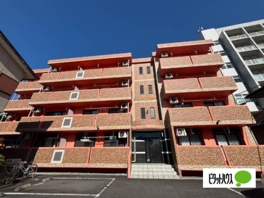 �V���g�[�]�~�[�i