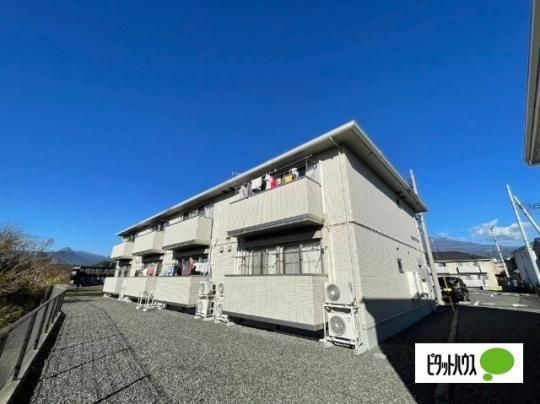 ���B�� �T�����b�g�@�T