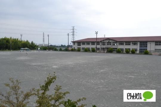 【周辺】　富士市立青葉台小学校：565m