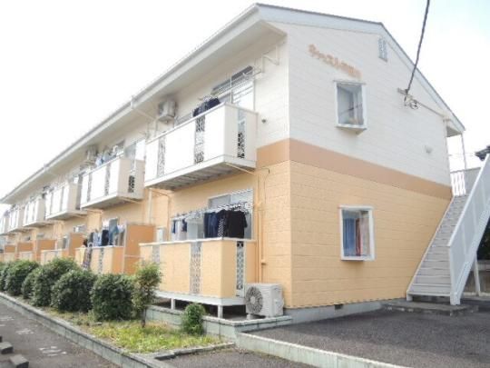 �L���b�X���_�c��