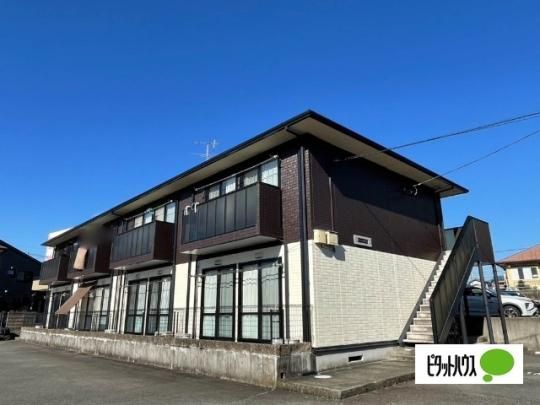 �h�~�[������C��