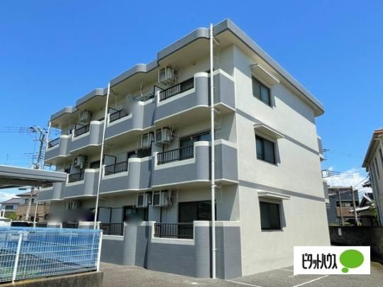 �G�N�Z�����gM1