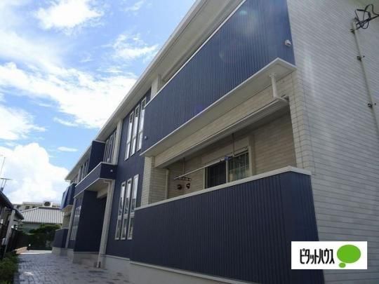 �����i������j