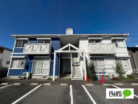 �T�j�[�n�C�c�X�Y�LA