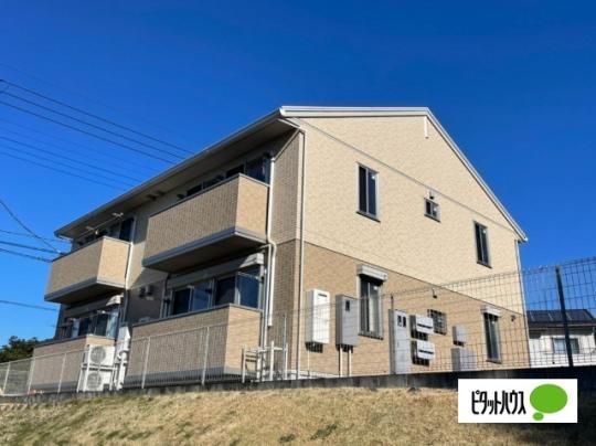 �S�[�h�@���~�i�X