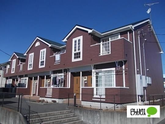 �Z�g���T�[�m