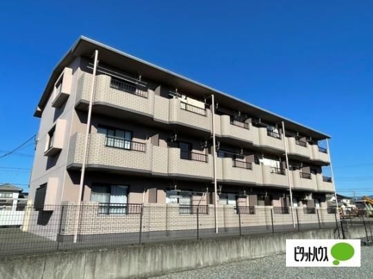 �J�[�T����