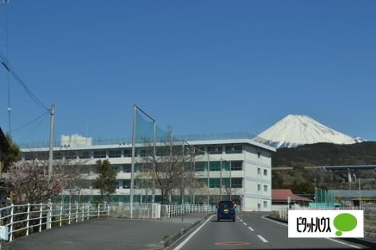 【周辺】　富士市立須津中学校：1248m