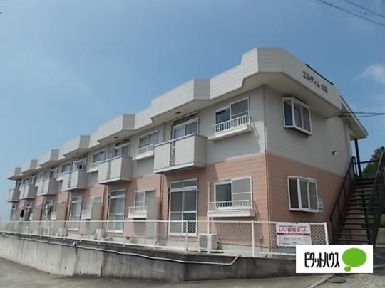 �G���f�B����?