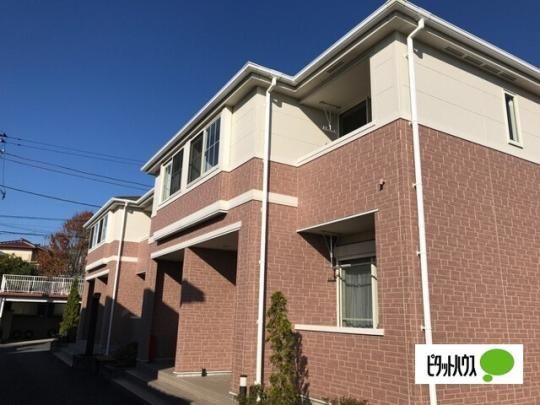 �����B�[�i