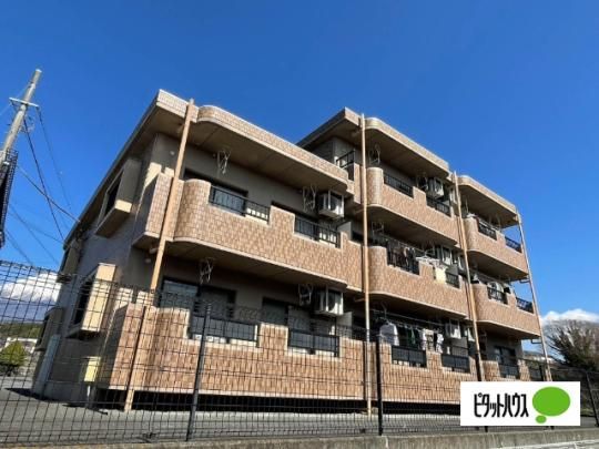 �T�j�[�q���U