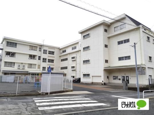 【周辺】　富士市立富士川第一小学校：1312m