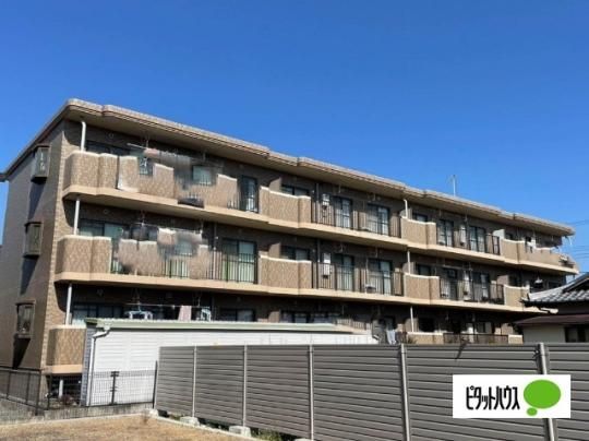 �T�e���R�[�g