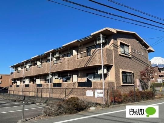 ���C�v��