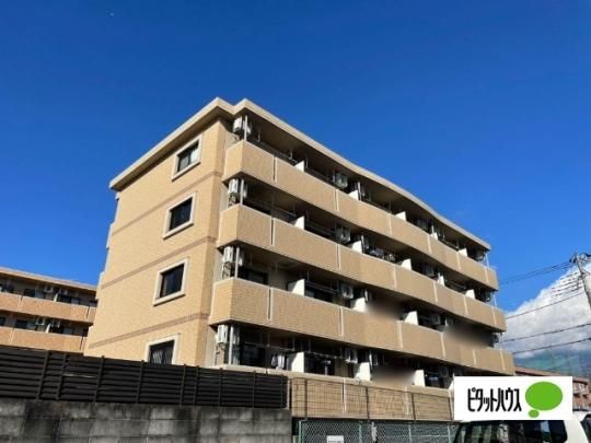 �T�j�[�n�C�c�O���U