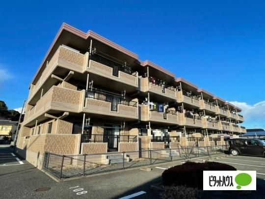 �T���K�[�f��