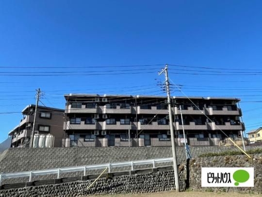 �X�v�����f�B�[�h