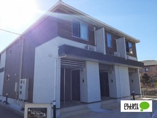 �X�e������