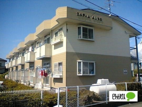 �G���f�B���悵����