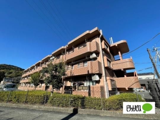 �V���h�[�q���T